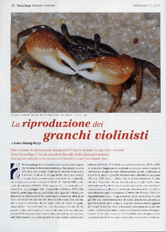 La riproduzione dei granchi violinisti Rupp Academia.edu