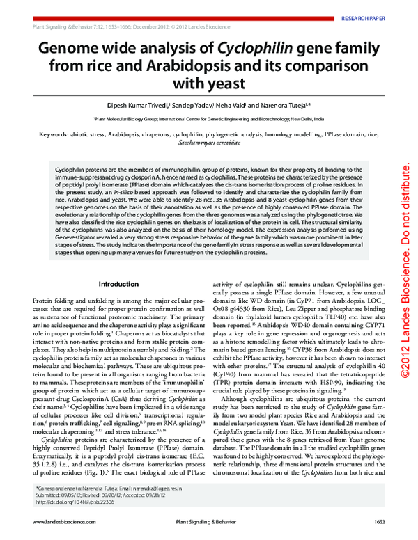 Genome wide analysis of Cyclophilin gene family from rice and ...