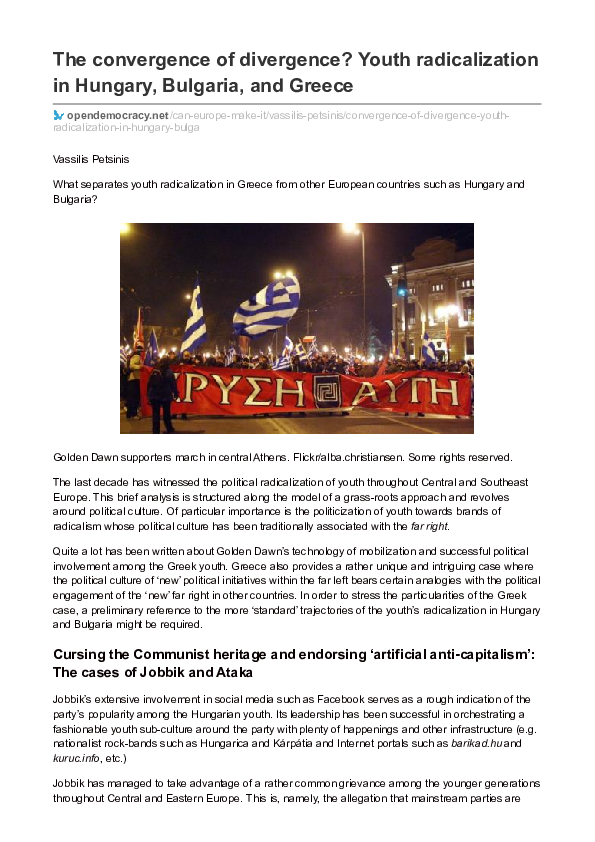 Youth radicalization essay 03 image