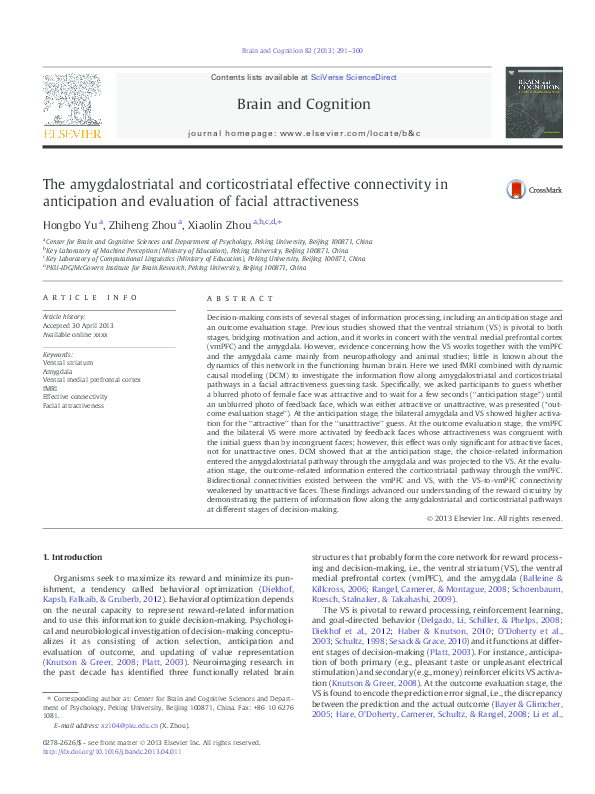 (PDF) The amygdalostriatal and corticostriatal effective connectivity ...