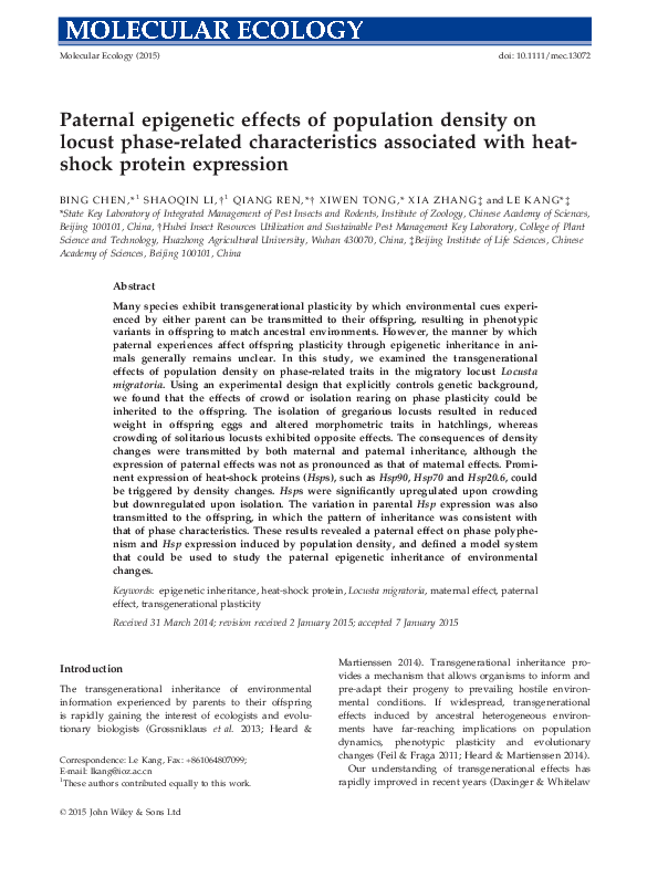 Epigenetics explained simply image