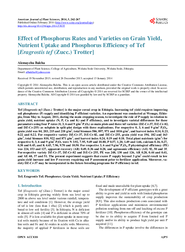 (PDF) Effect of Phosphorus Rates and Varieties on Grain Yield, Nutrient ...