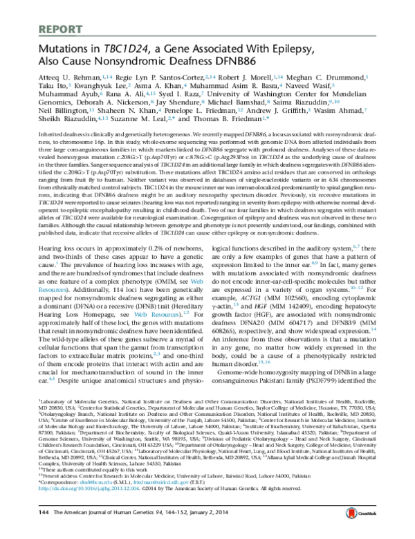 (PDF) REPORT Mutations in TBC1D24, a Gene Associated With Epilepsy ...