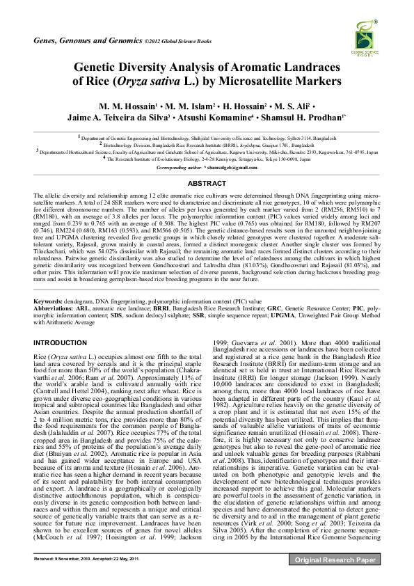Rice university ethnic breakdown picture