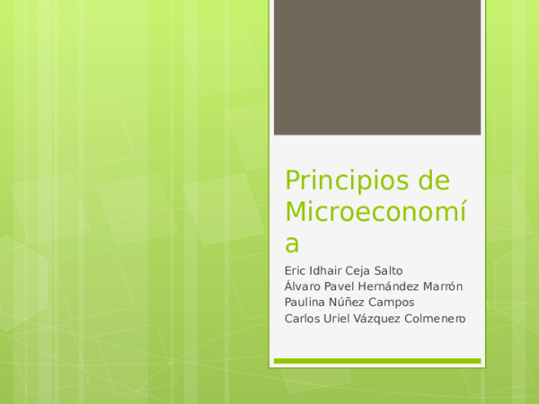 (PPT) Principios de Microeconomia