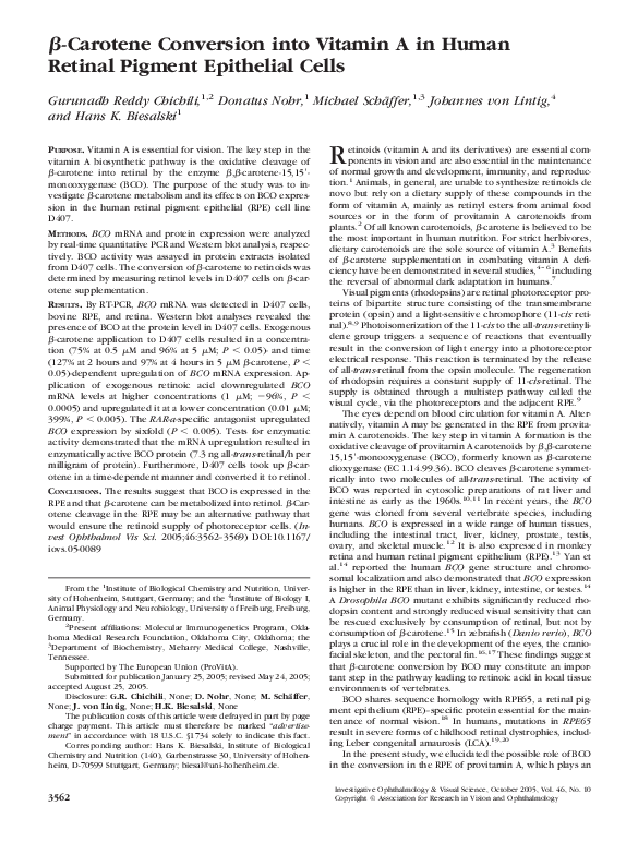 (PDF) Carotene Conversion into Vitamin A in Human Retinal Pigment