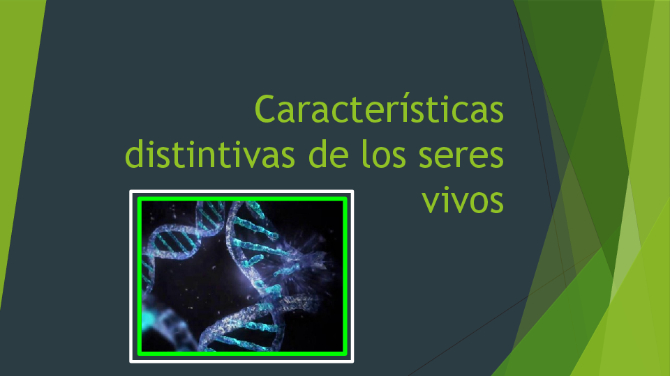 (PPT) Caracteristicas distintivas de los seres vivos Biologia