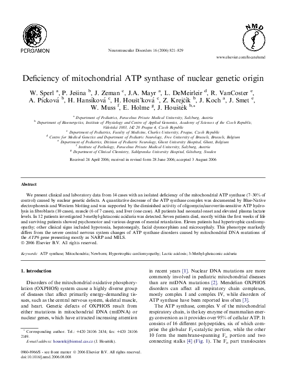(PDF) Deficiency of mitochondrial ATP synthase of nuclear genetic origin