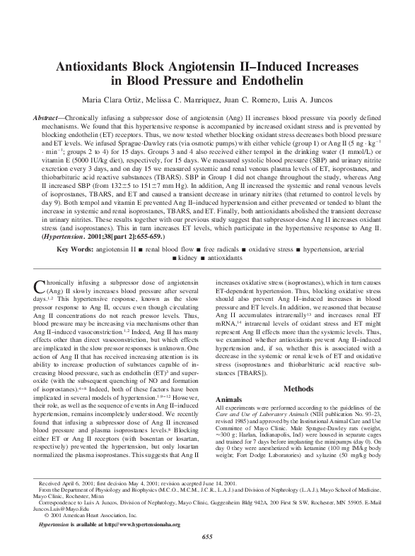 Endothelin essay 05 picture