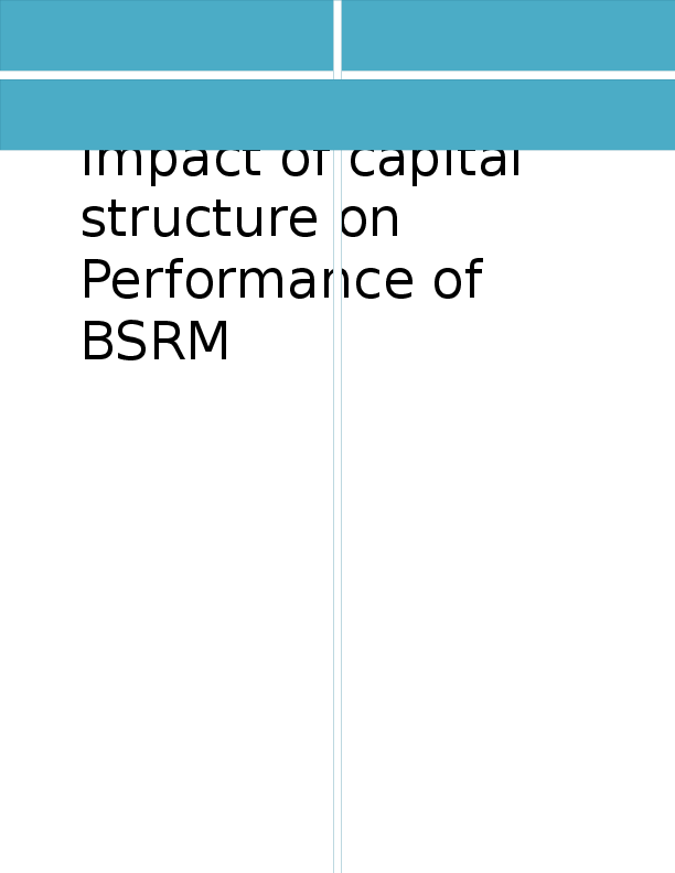 Term paper bsrm steel 07 image