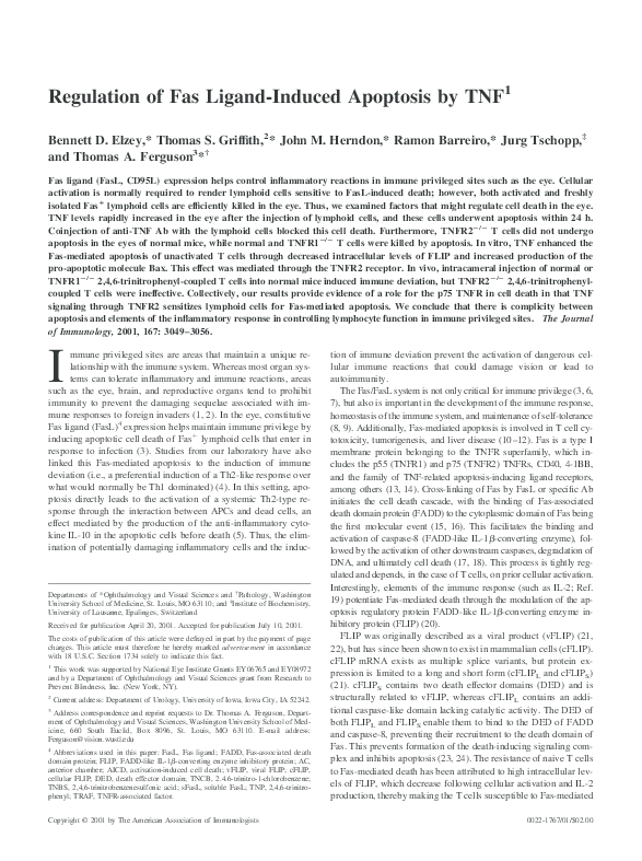 (PDF) Apoptosis by TNF Regulation of Fas Ligand-Induced