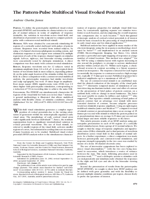 (PDF) The Pattern-Pulse Multifocal Visual Evoked Potential