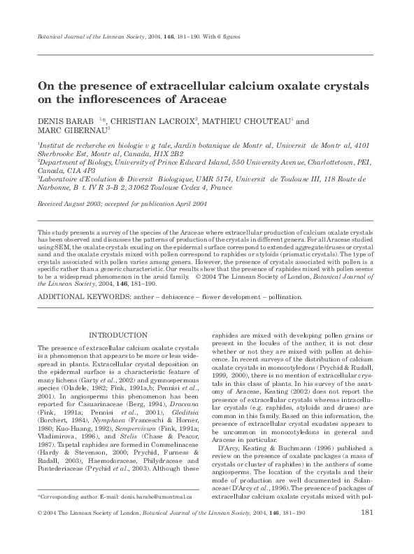 (PDF) On the presence of extracellular calcium oxalate crystals on the ...