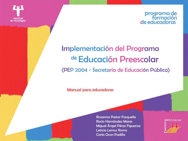 (PDF) Implementacion de programa