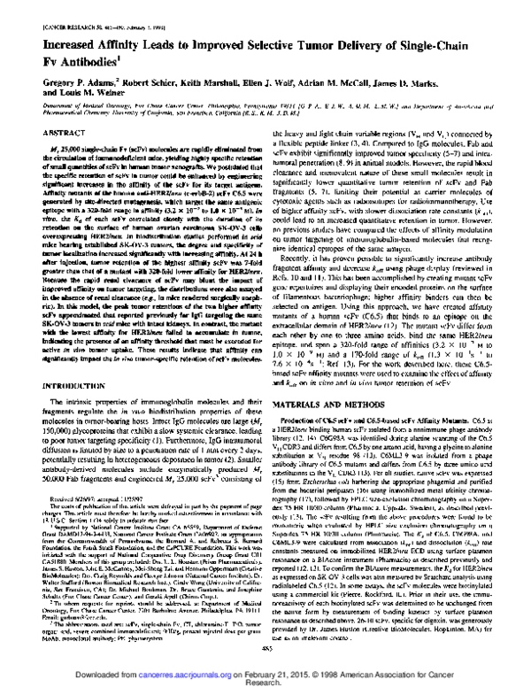 (PDF) Increased Affinity Leads to Improved Selective Tumor Delivery of ...