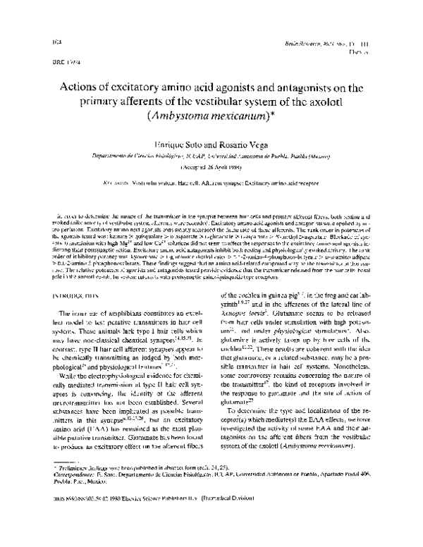 (PDF) Actions of excitatory amino acid agonists and antagonists on the ...