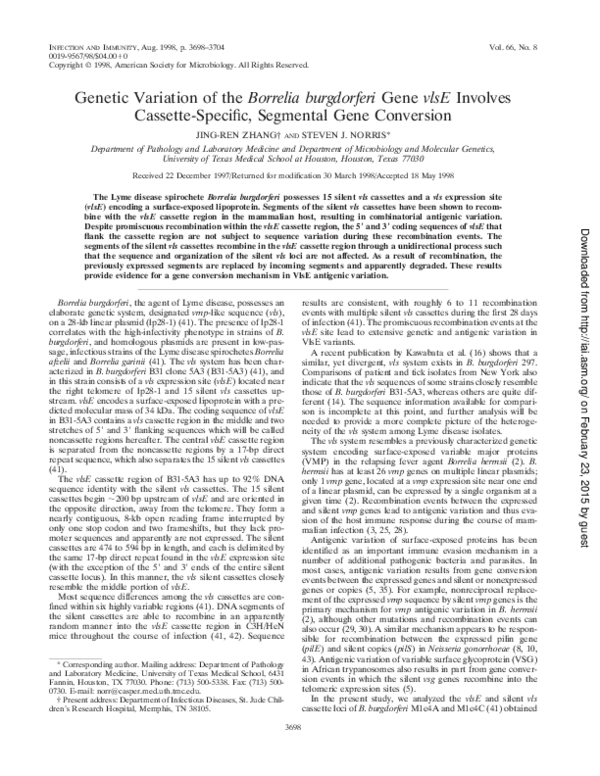 Borrelia bacteria characteristics image