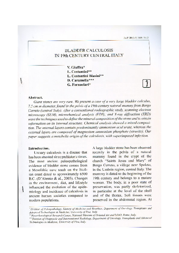 (PDF) Bladder Calculosis in 19th Century Central Italy