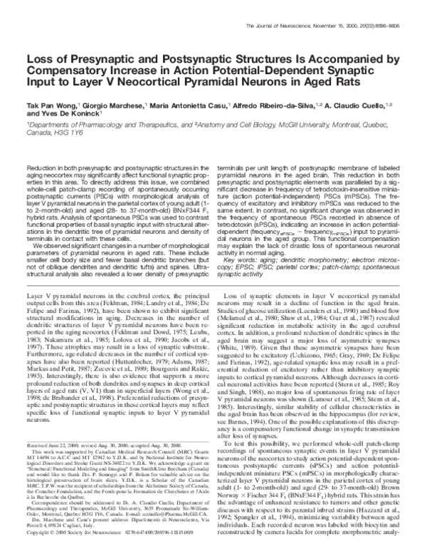 (PDF) Loss of Presynaptic and Postsynaptic Structures Is Accompanied by ...