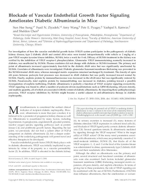 (PDF) Blockade of Vascular Endothelial Growth Factor Signaling ...