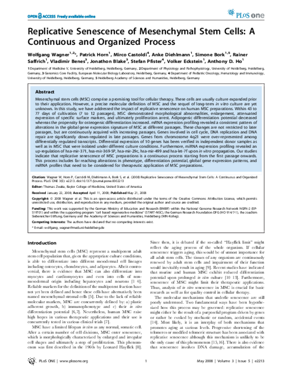 (PDF) Replicative Senescence of Mesenchymal Stem Cells: A Continuous ...