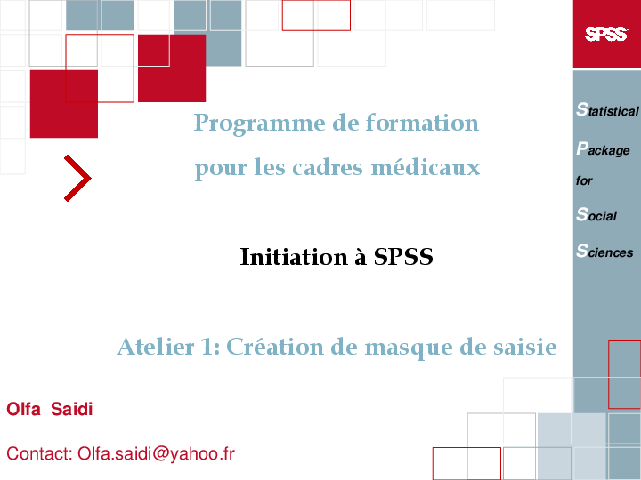 Pdf Initiation A Spss Atelier 1 Creation De Masque De Saisie Olfa Saidi Academia Edu