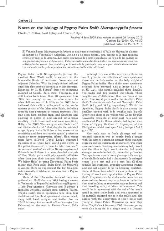 Essay on pygmies 07 picture