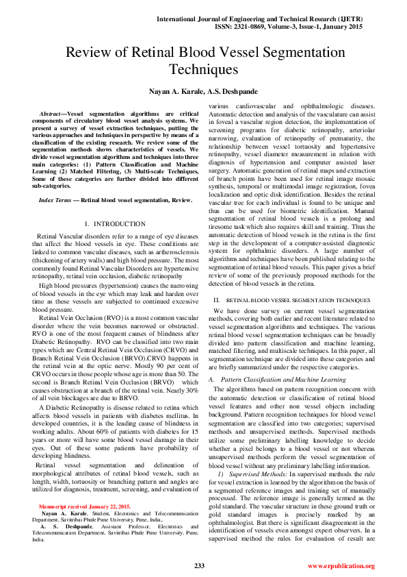 (PDF) Review of Retinal Blood Vessel Segmentation Techniques