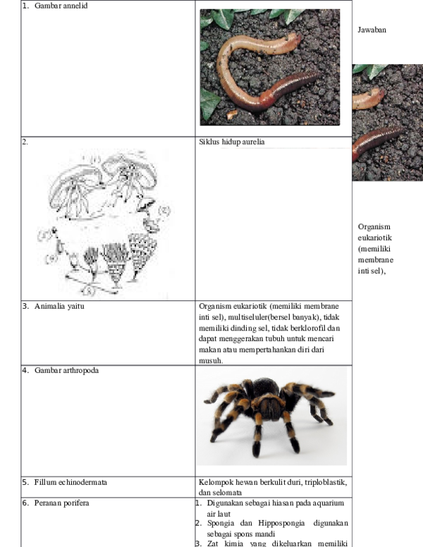 Doc Jawaban Lkpd Henz Sukandar Academia Edu