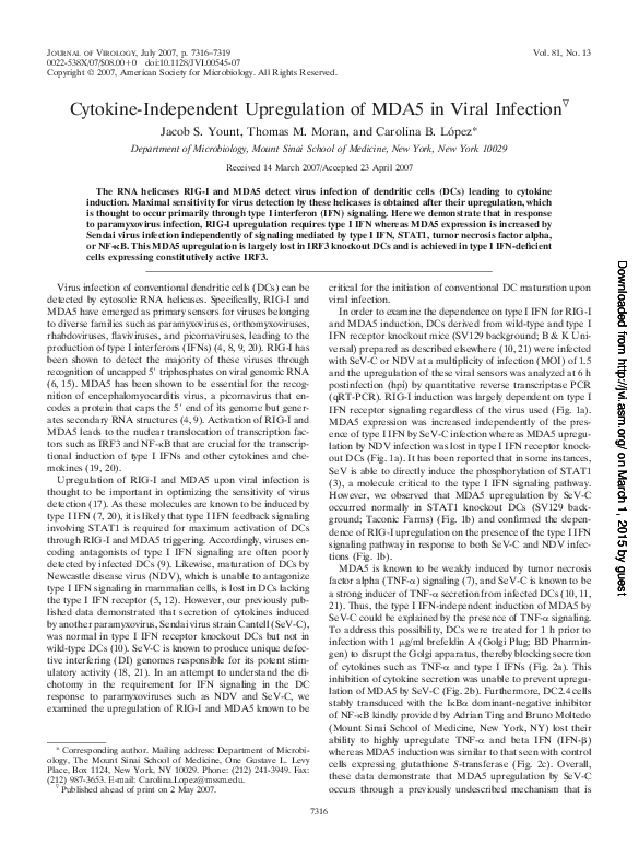 (PDF) Cytokine-Independent Upregulation of MDA5 in Viral Infection