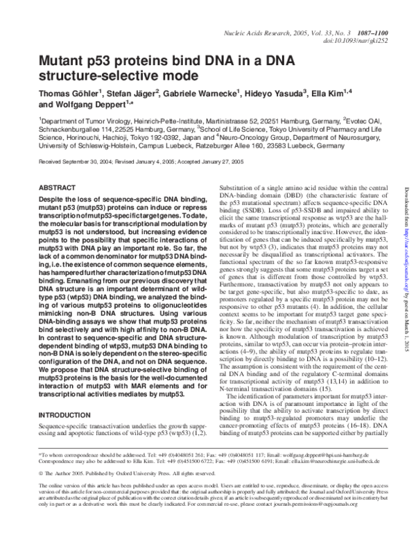 (PDF) Mutant p53 proteins bind DNA in a DNA structure-selective mode