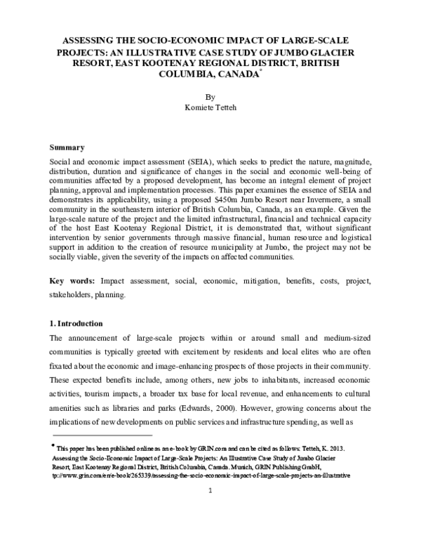 (PDF) Assessing the Socio-Economic Impact of Large-Scale Projects: An ...