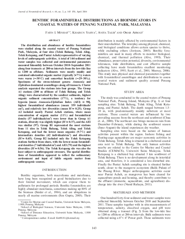 Foraminiferal research paper picture