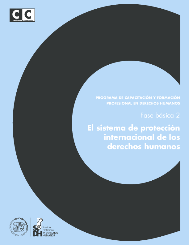 (PDF) El sistema internacional de protección de los derechos humanos.