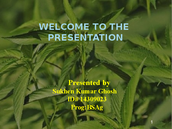 (PPT) Production Technology of Jute Sukhen Ghosh Academia.edu