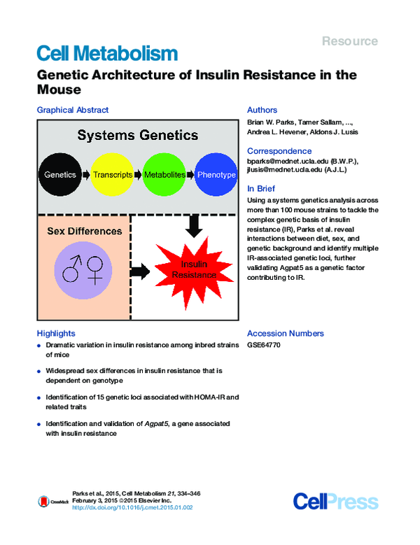 (PDF) Genetic Architecture of Insulin Resistance in the Mouse