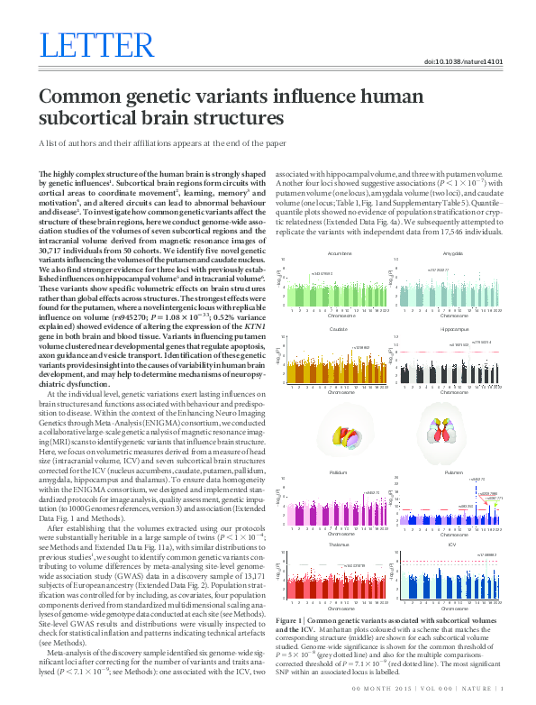(PDF) Common genetic variants influence human subcortical brain structures