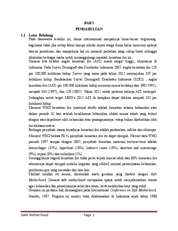 Safe motherhood essay 06 image