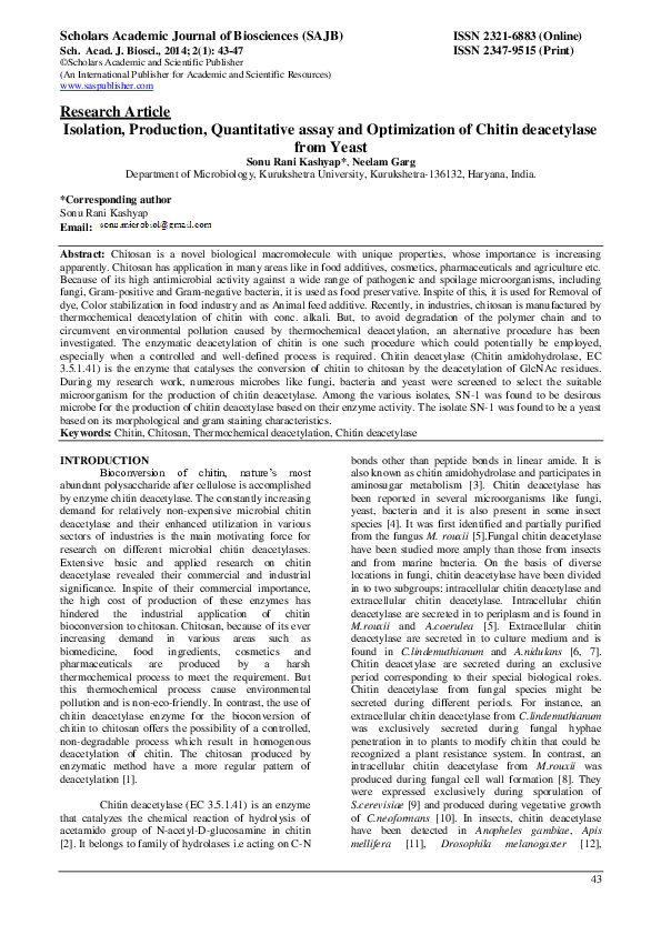 Loneliness research paper picture