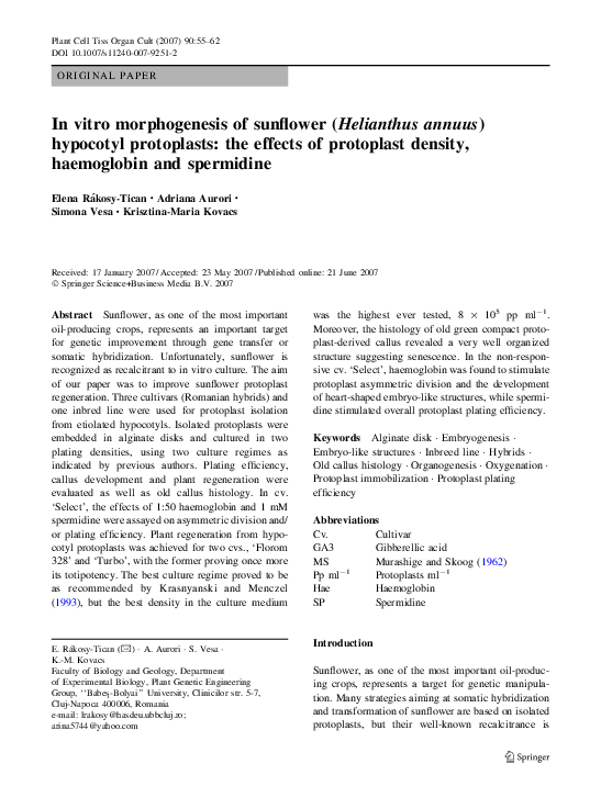 density of sunflower oil