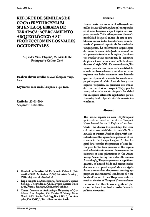 Erythroxylum coca plant picture