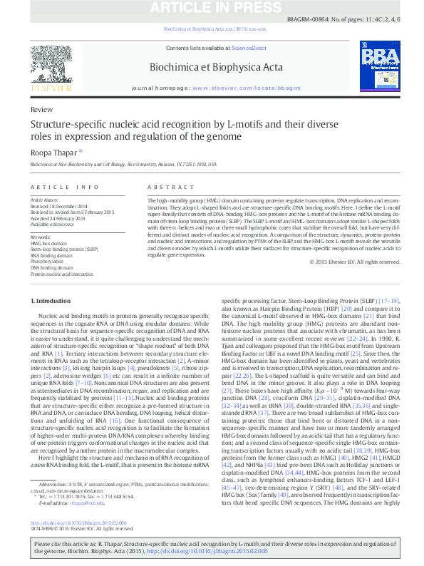 (PDF) Structure-Specific Nucleic Acid Recognition by L-motifs And Their ...
