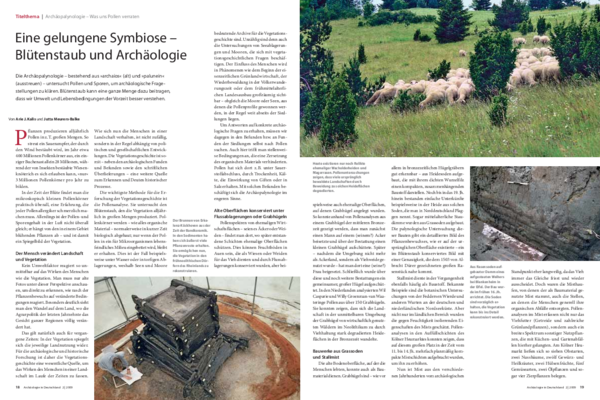 Haas 2009 essays 06 picture