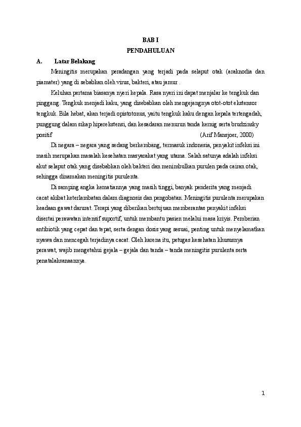 Essays on meningitis 03 picture