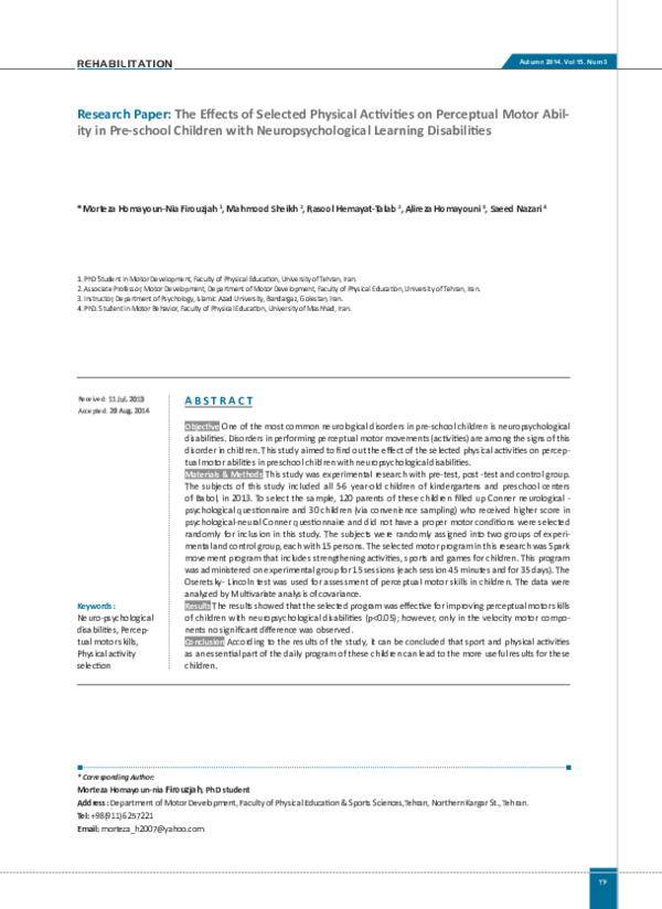 Preliminary research pdf image