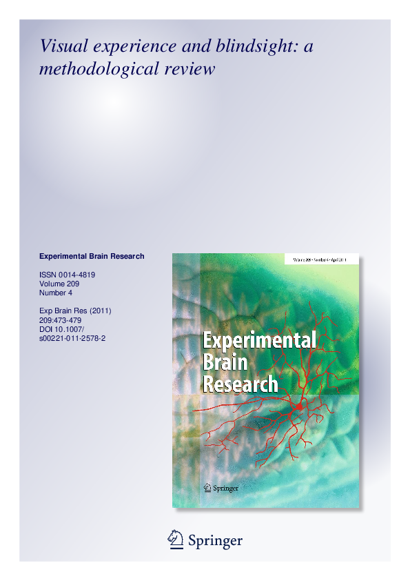 (PDF) Visual experience and blindsight A methodological review