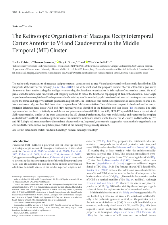 (PDF) The Retinotopic Organization of Macaque Occipitotemporal Cortex ...