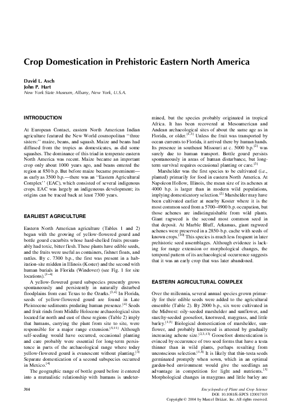 What changes did domestication bring about to teosinte image