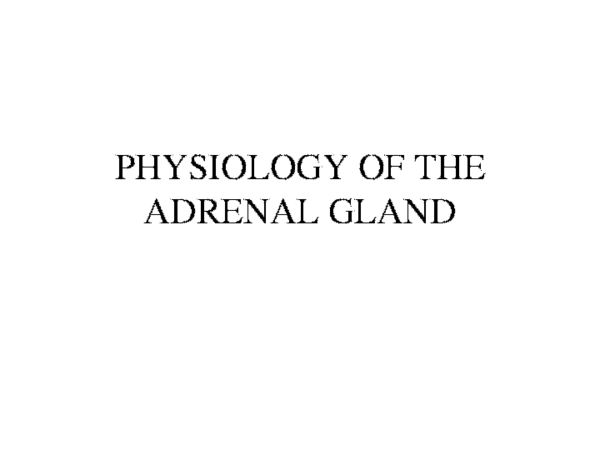 (PDF) adrenal