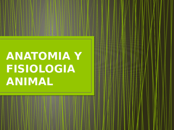 (PPT) ANATOMIA Y FISIOLOGIA ANIMAL